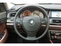 2010 BMW 5 Series Cinnamon Brown Dakota Leather Interior Steering Wheel Photo