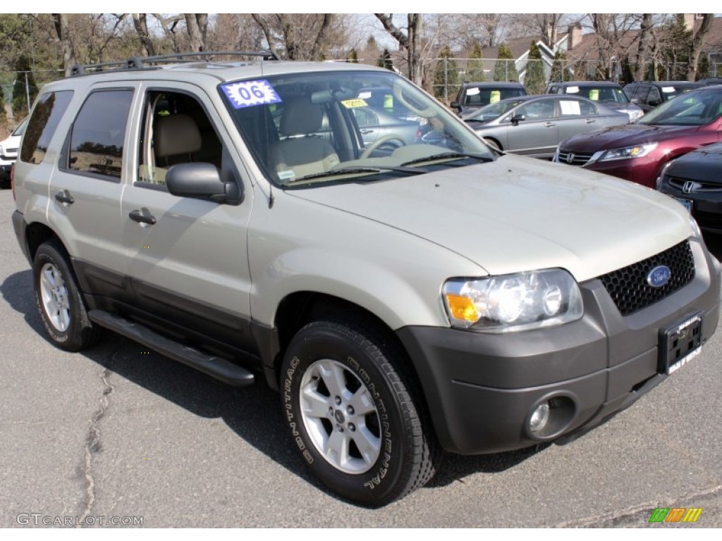 Gold Ash Metallic 2006 Ford Escape XLT V6 4WD Exterior Photo #79429748