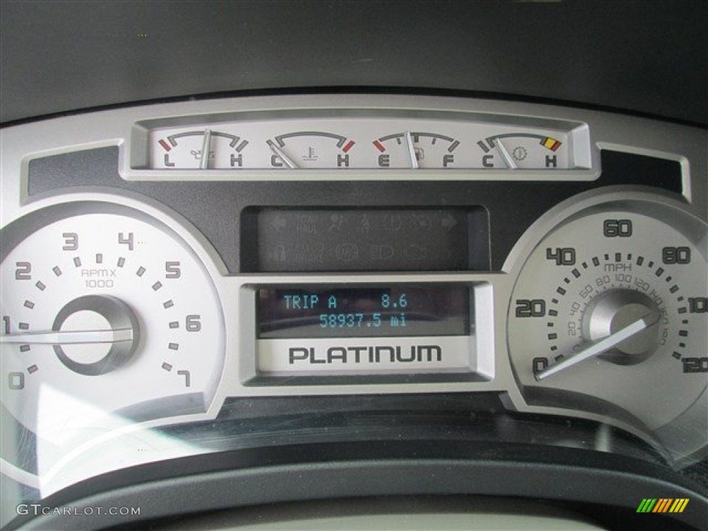 2010 F150 Platinum SuperCrew - Sterling Grey Metallic / Medium Stone Leather/Sienna Brown photo #20
