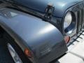 Steel Blue Metallic - Wrangler Unlimited Sahara Photo No. 3