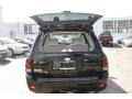 2006 Black Chevrolet TrailBlazer LS 4x4  photo #11