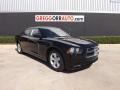 Pitch Black - Charger SE Photo No. 1