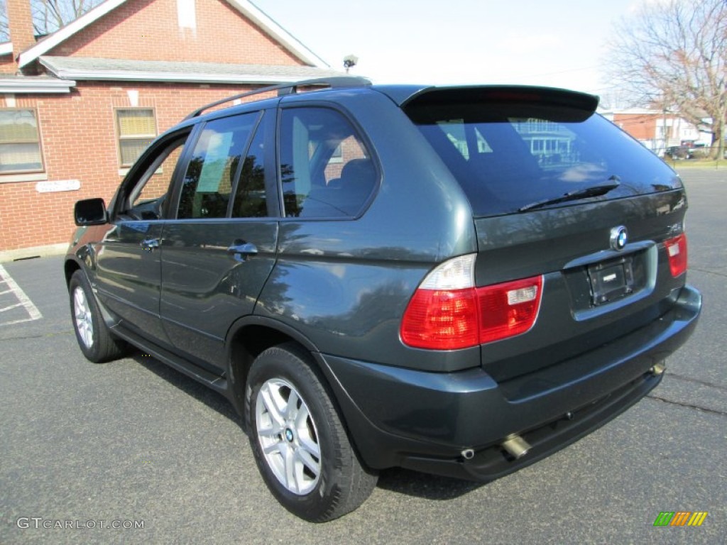 2005 X5 3.0i - Highland Green Metallic / Truffle Brown photo #5