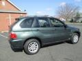 Highland Green Metallic - X5 3.0i Photo No. 8