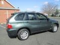 2005 Highland Green Metallic BMW X5 3.0i  photo #8