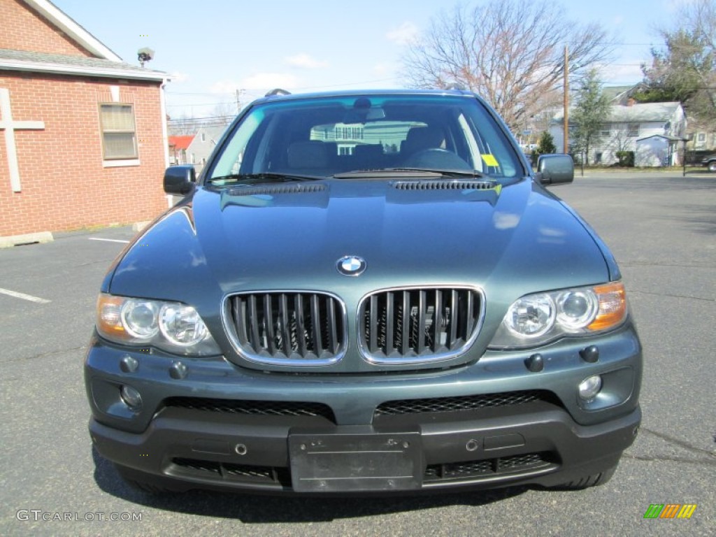 2005 X5 3.0i - Highland Green Metallic / Truffle Brown photo #12