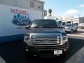 2013 Tuxedo Black Metallic Ford F150 Platinum SuperCrew 4x4  photo #1