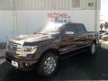 2013 Tuxedo Black Metallic Ford F150 Platinum SuperCrew 4x4  photo #2