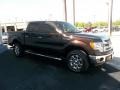 2013 Kodiak Brown Metallic Ford F150 XLT SuperCrew 4x4  photo #16