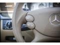Cashmere Controls Photo for 2009 Mercedes-Benz E #79451684