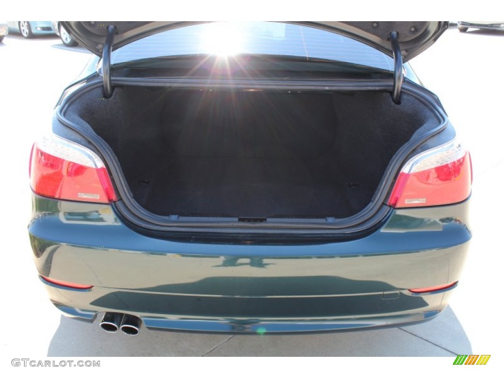 2008 5 Series 528i Sedan - Deep Green Metallic / Natural Brown photo #22