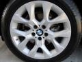 2011 BMW X5 xDrive 35i Wheel and Tire Photo