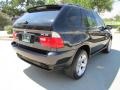 2005 Black Sapphire Metallic BMW X5 4.4i  photo #10