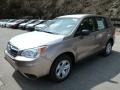Burnished Bronze Metallic - Forester 2.5i Photo No. 8