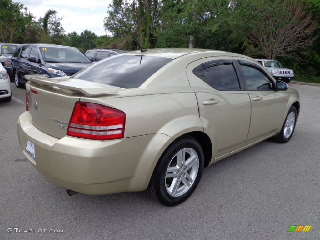 2010 Avenger R/T - White Gold / Dark Slate Gray photo #8