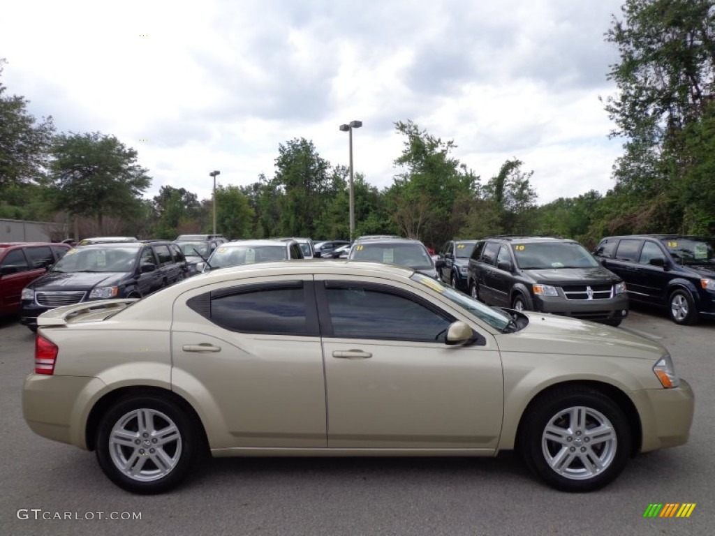 2010 Avenger R/T - White Gold / Dark Slate Gray photo #9