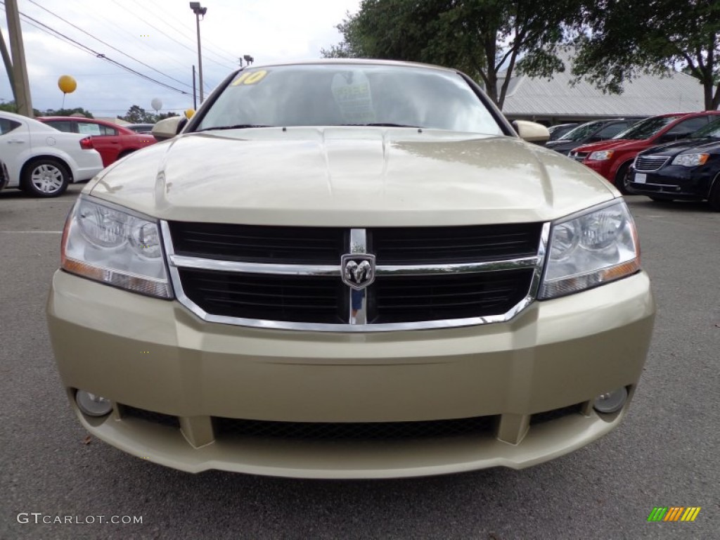 2010 Avenger R/T - White Gold / Dark Slate Gray photo #13