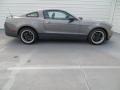 Sterling Grey Metallic 2010 Ford Mustang V6 Coupe Exterior