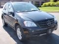 Black - ML 350 4Matic Photo No. 3