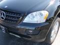 Black - ML 350 4Matic Photo No. 6