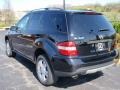 Black - ML 350 4Matic Photo No. 14