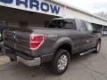 Sterling Gray Metallic - F150 XLT SuperCab 4x4 Photo No. 8