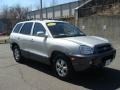 Smart Silver - Santa Fe GLS Photo No. 3