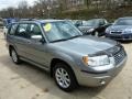 2007 Crystal Gray Metallic Subaru Forester 2.5 X Premium  photo #6