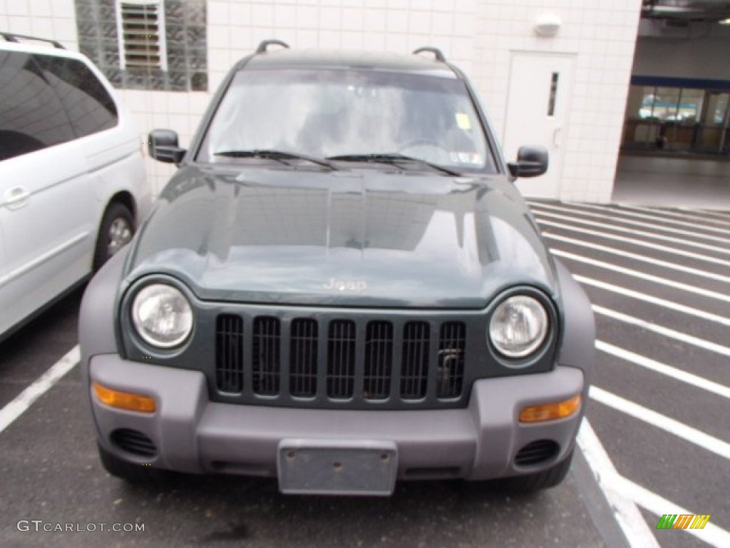 2002 Liberty Sport 4x4 - Shale Green Metallic / Dark Slate Gray photo #2
