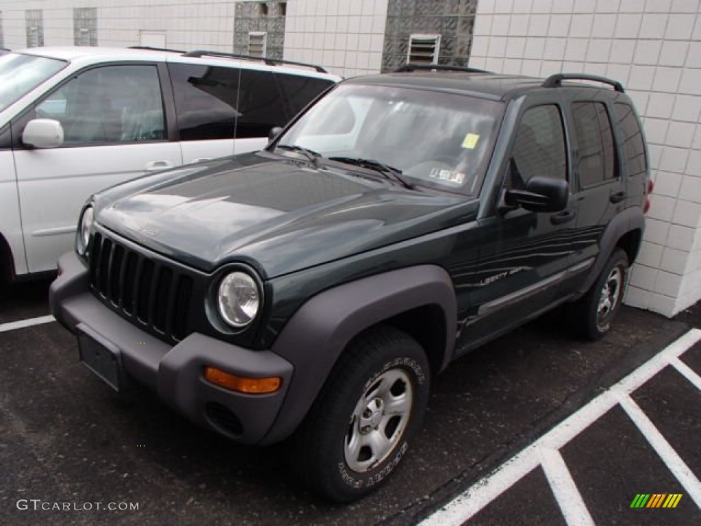 2002 Liberty Sport 4x4 - Shale Green Metallic / Dark Slate Gray photo #3
