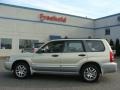 Champagne Gold Opalescent - Forester 2.5 XS L.L.Bean Edition Photo No. 3