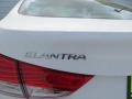 Shimmering White - Elantra GLS Photo No. 6
