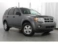 2009 Sterling Grey Metallic Ford Escape XLT V6 4WD  photo #5