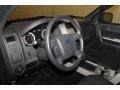 2009 Sterling Grey Metallic Ford Escape XLT V6 4WD  photo #20