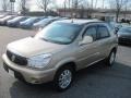 2006 Cashmere Metallic Buick Rendezvous CXL  photo #6