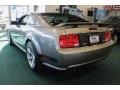 Vapor Silver Metallic - Mustang Saleen Heritage 302 Photo No. 3