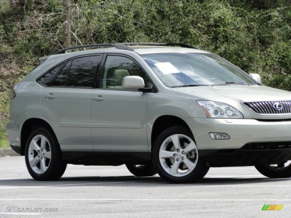 2004 RX 330 - Bamboo Pearl / Ivory photo #6