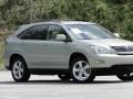 2004 Bamboo Pearl Lexus RX 330  photo #6