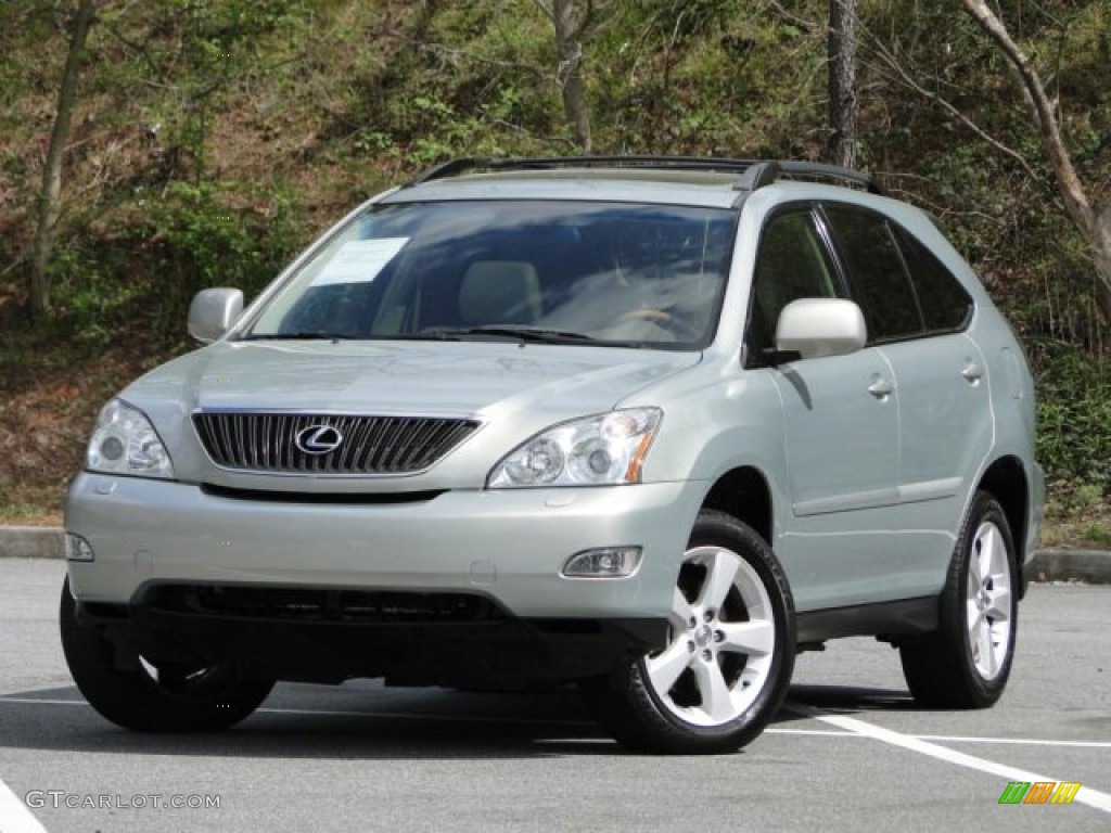 Bamboo Pearl 2004 Lexus RX 330 Exterior Photo #79494346