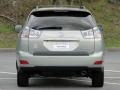 2004 Bamboo Pearl Lexus RX 330  photo #10