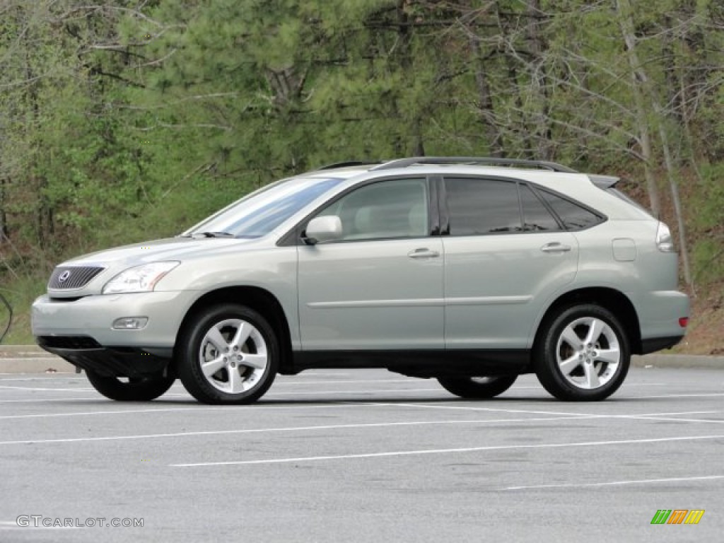 2004 RX 330 - Bamboo Pearl / Ivory photo #12