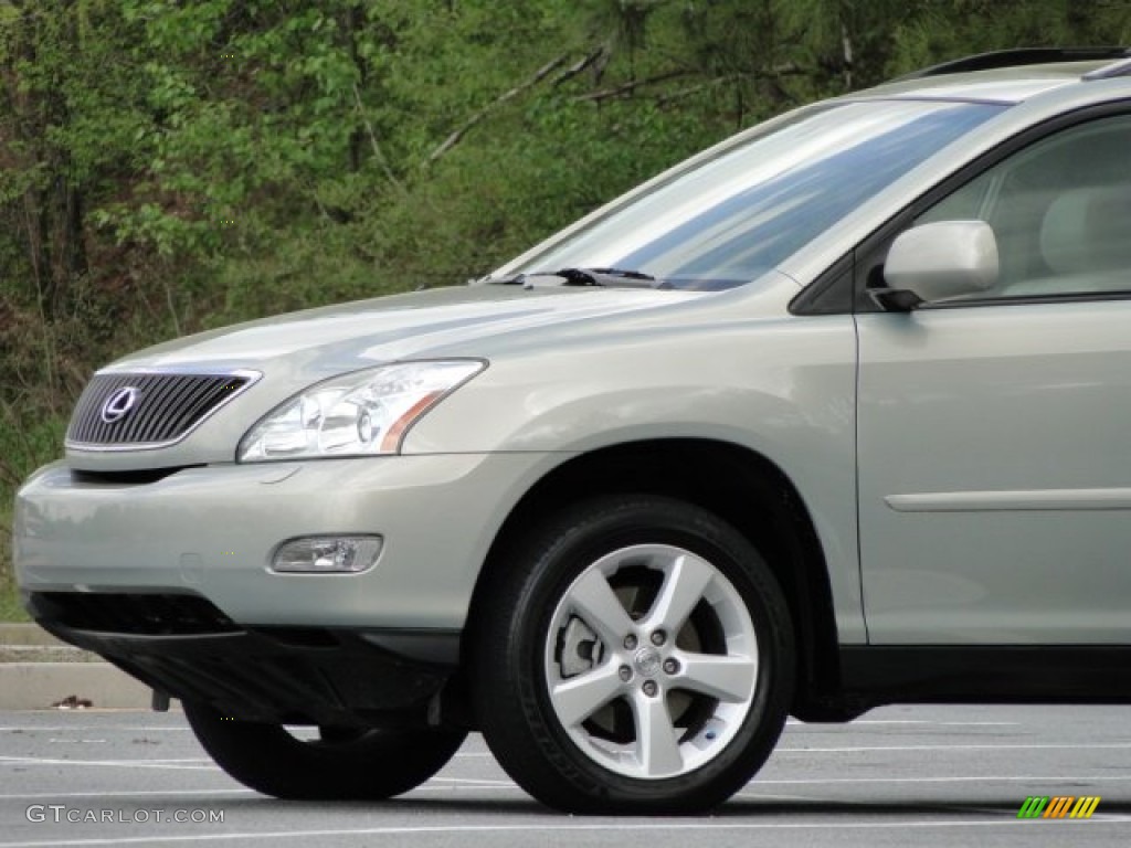 2004 RX 330 - Bamboo Pearl / Ivory photo #45