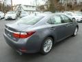 Nebula Gray Pearl - ES 350 Photo No. 4