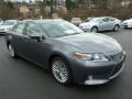 Nebula Gray Pearl - ES 350 Photo No. 6
