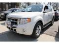 2010 White Suede Ford Escape Limited V6 4WD  photo #1