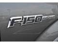 2013 Sterling Gray Metallic Ford F150 Platinum SuperCrew 4x4  photo #20