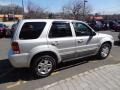Silver Metallic - Escape Limited 4WD Photo No. 8