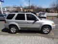 Silver Metallic - Escape Limited 4WD Photo No. 9