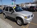 Silver Metallic - Escape Limited 4WD Photo No. 10