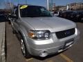 Silver Metallic - Escape Limited 4WD Photo No. 11